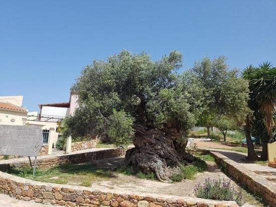 Villa Margarita'S Farm, Private Pool Maláthiros Eksteriør billede